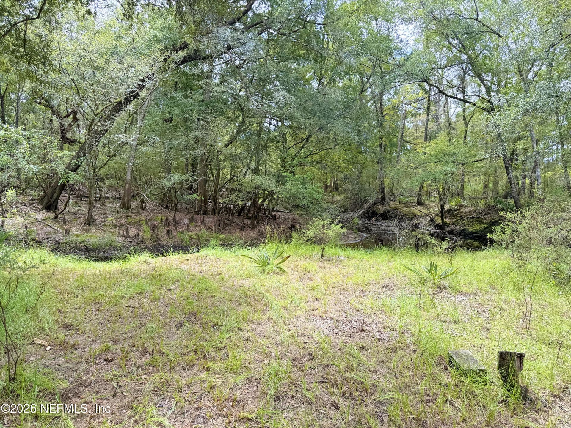 18152 SW 111th Street, Brooker, FL 32622 Photo