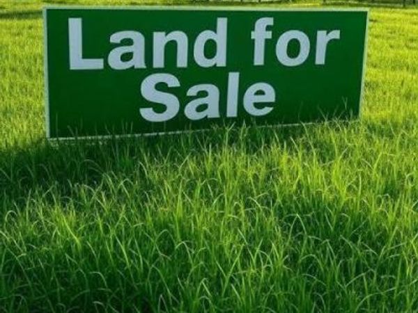 2393 Richard Gordon Hatcher Blvd , Gary, IN 46404