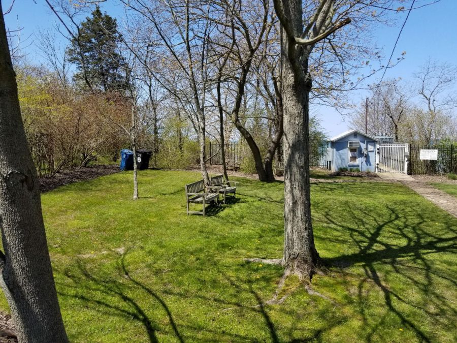 Property Image 14