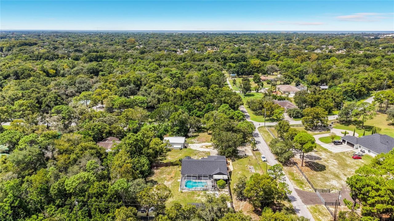 9238 Tree Top Lane, Hudson, FL 34669 Photo