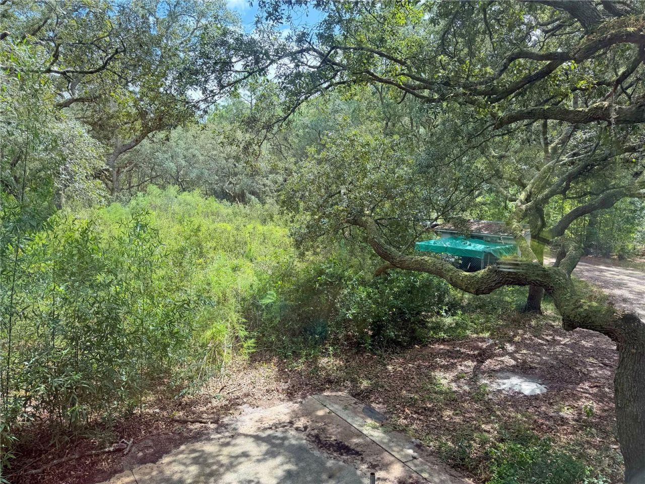 18152 SW 111th Street, Brooker, FL 32622 Photo