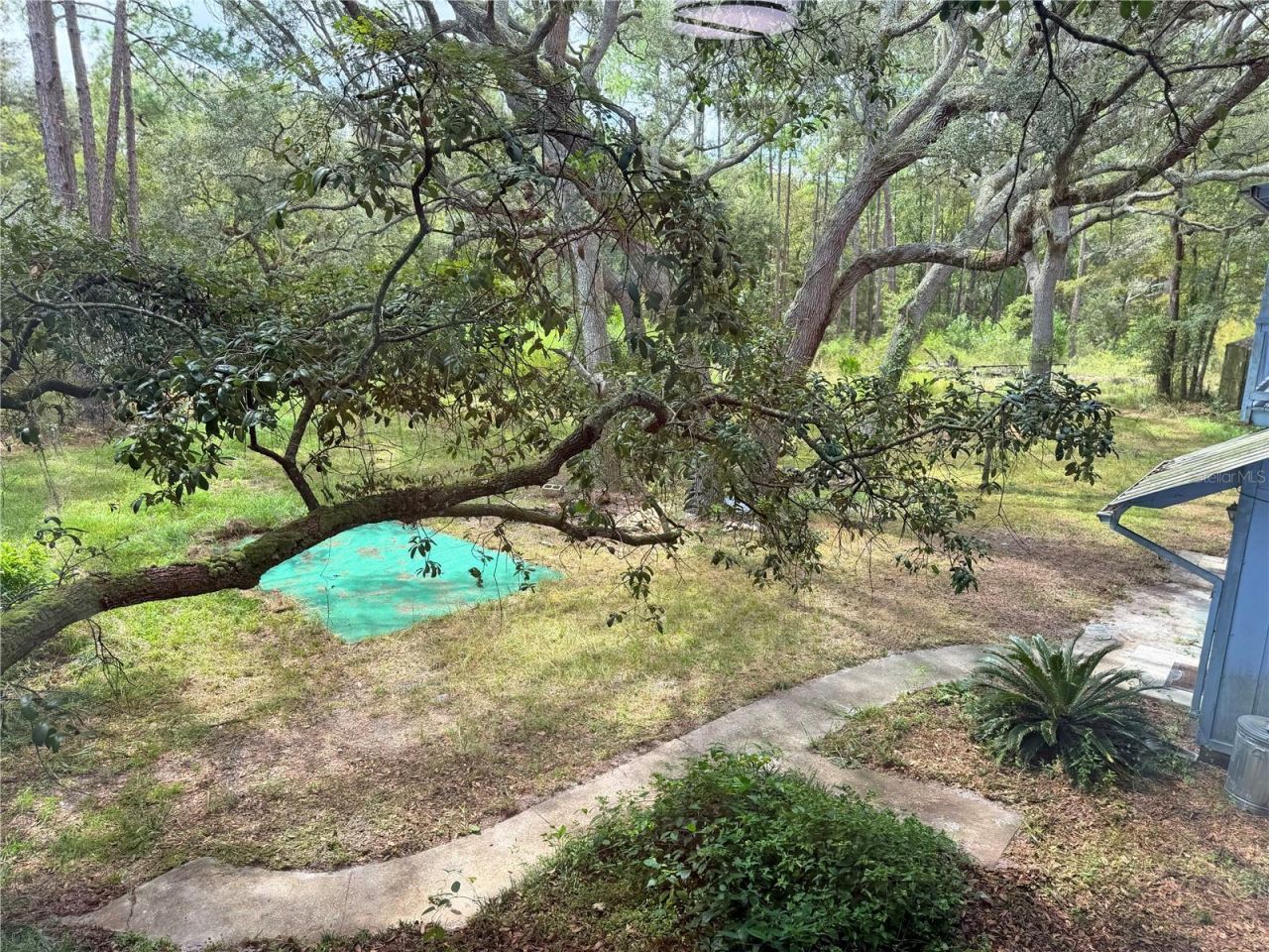 18152 SW 111th Street, Brooker, FL 32622 Photo