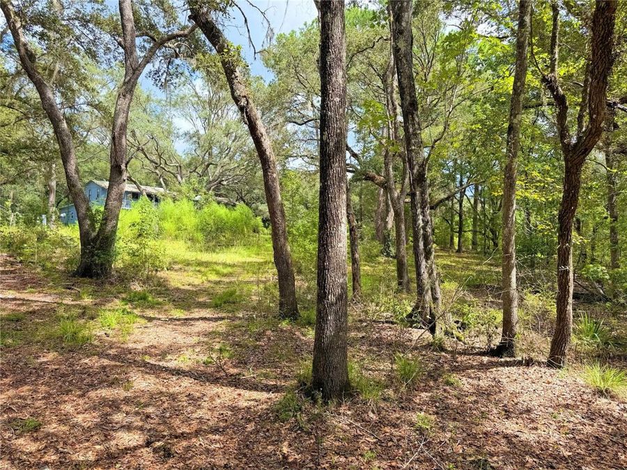 Property Image 52