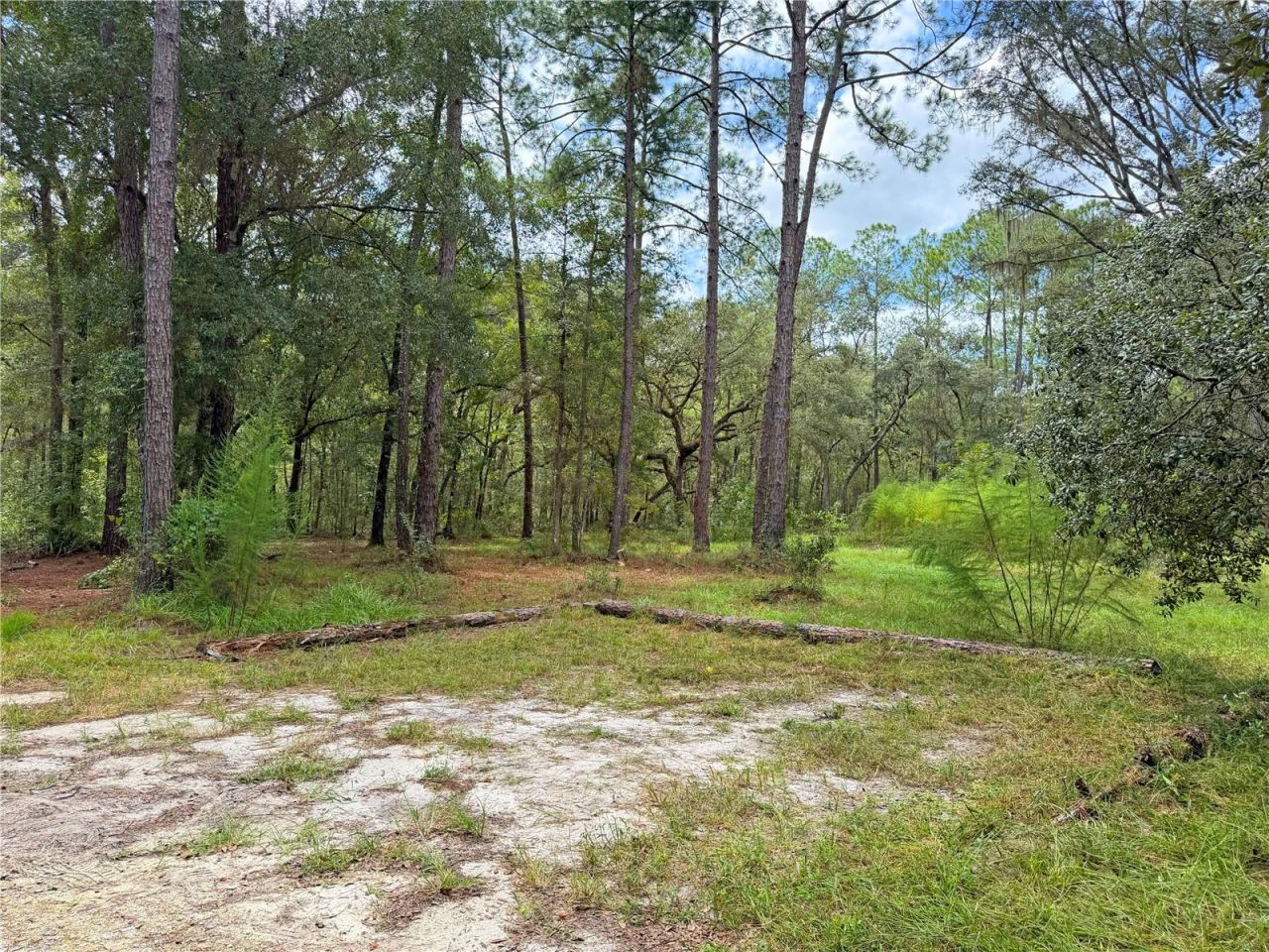 18152 SW 111th Street, Brooker, FL 32622 Photo