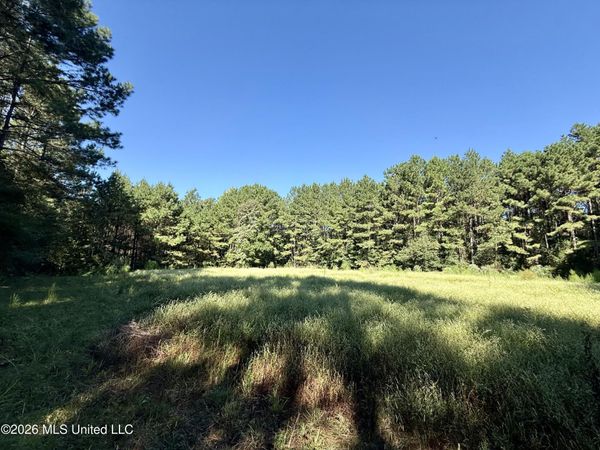 Burt Jordan Road, Smithdale, MS 39664