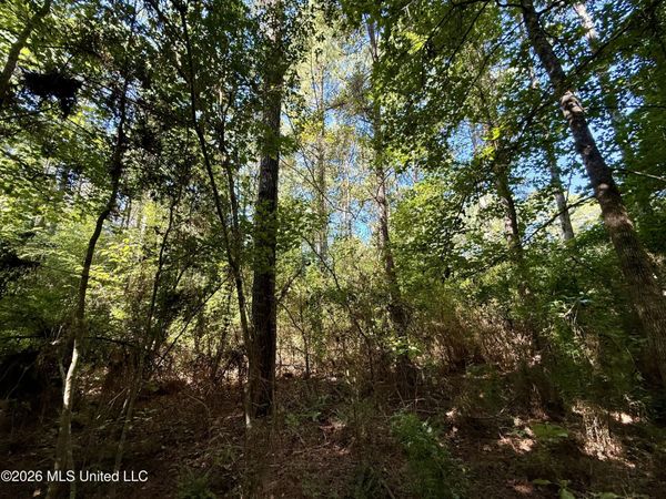 Dogwood Ln Se, Smithdale, MS 39664