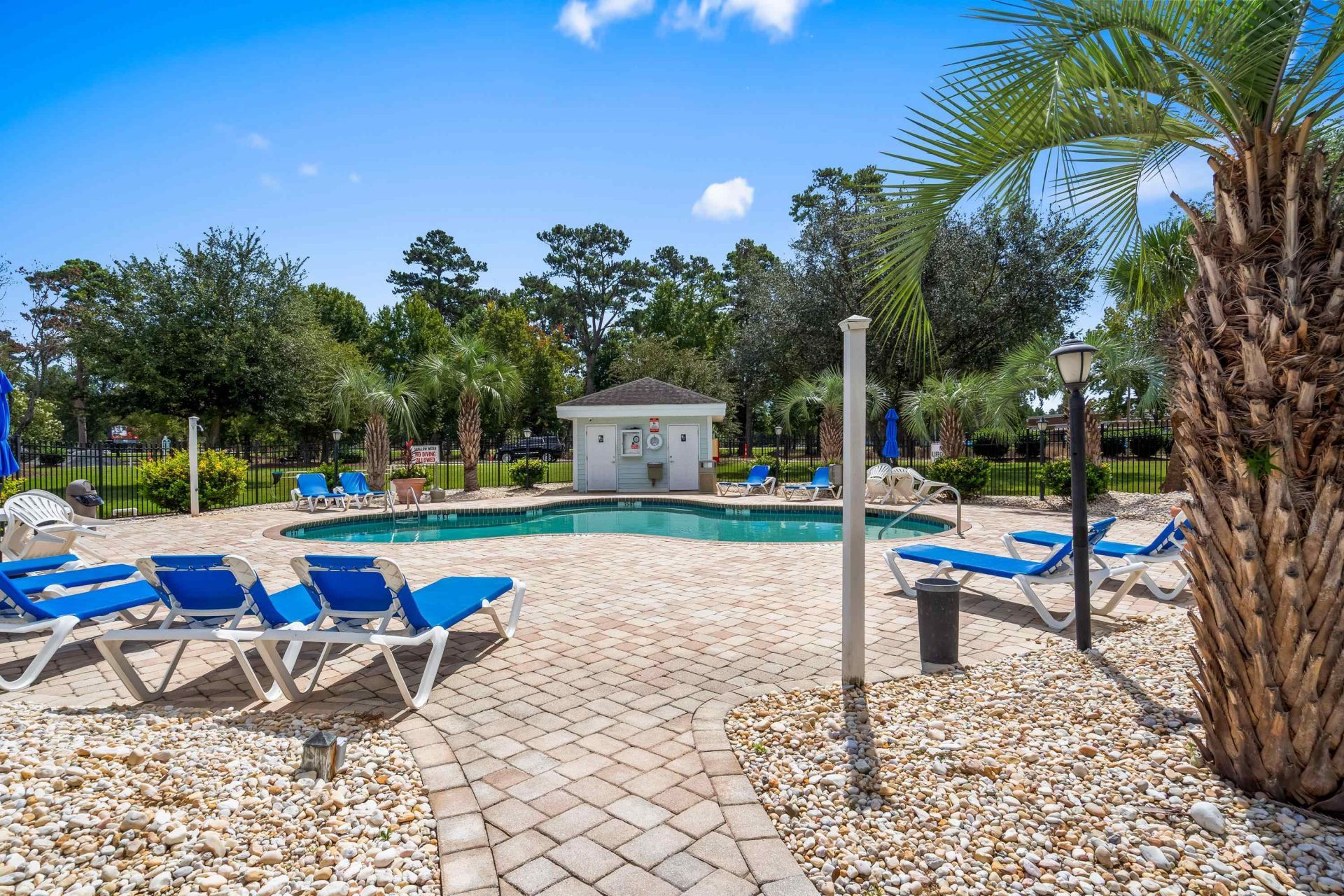 4643 Wild Iris Dr. Photo 41