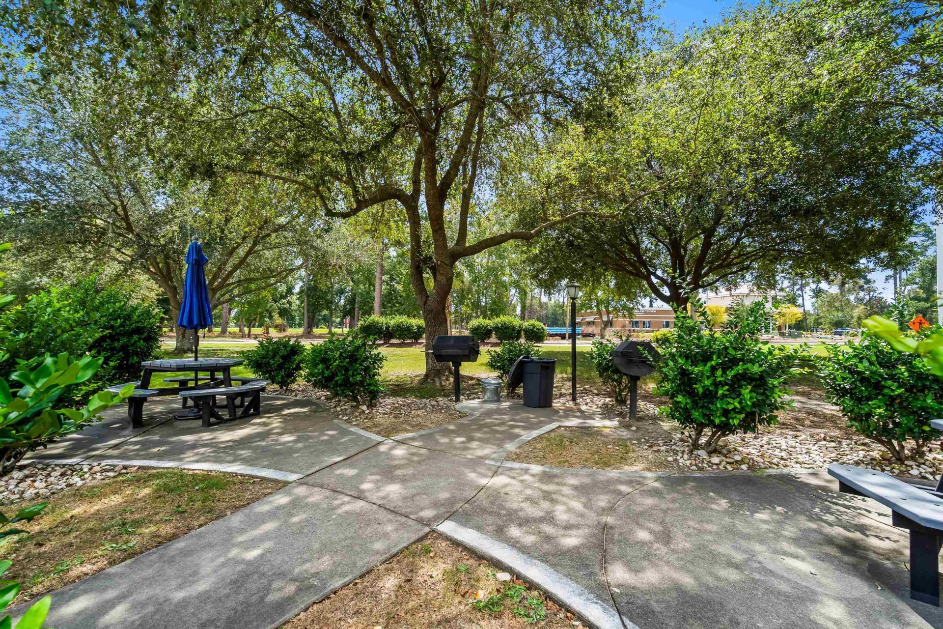 4643 Wild Iris Dr. Photo 42