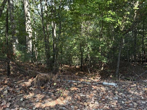 946 Aurora Lane, Ranger, GA 30734