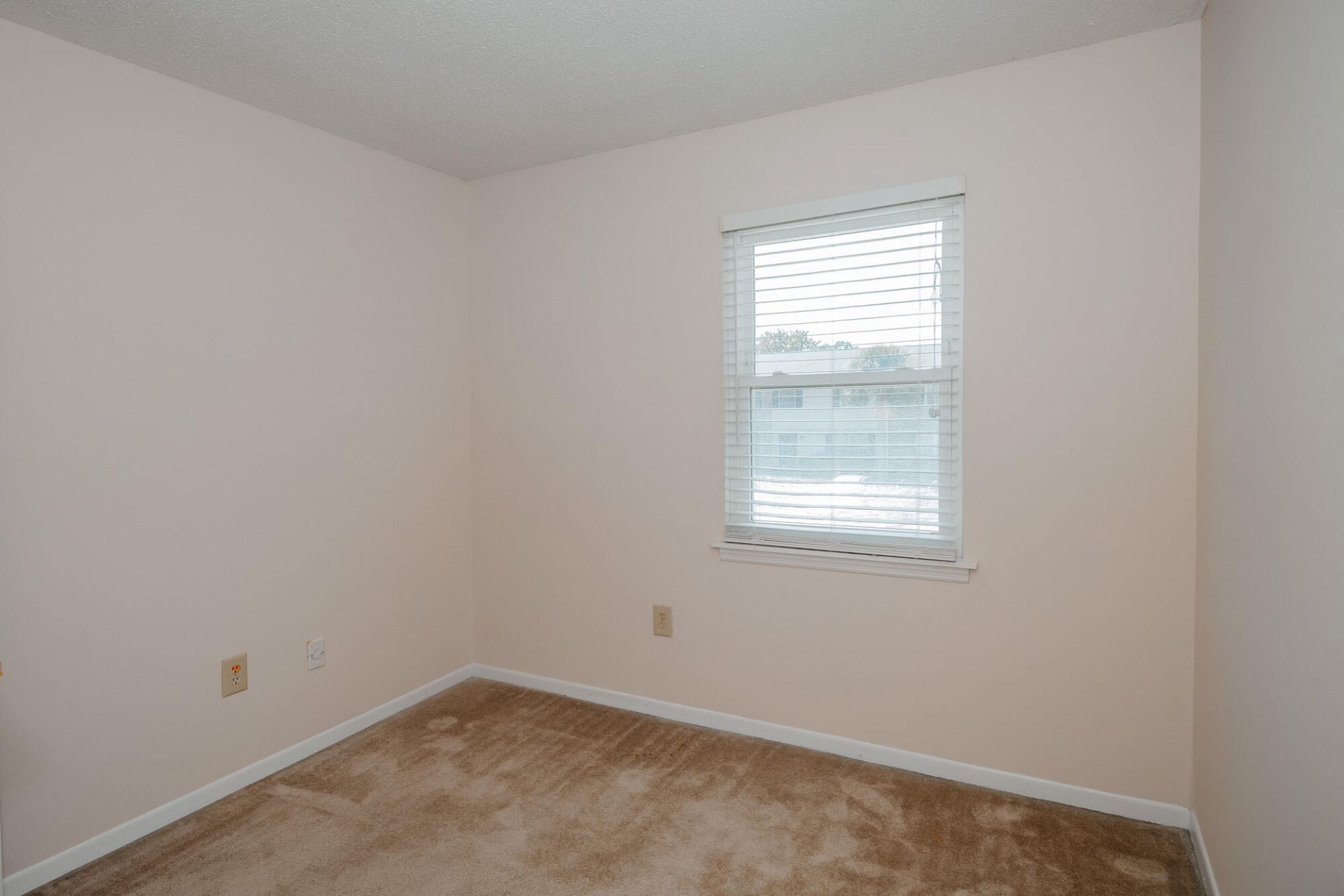 415 Parkdale Drive Photo 22