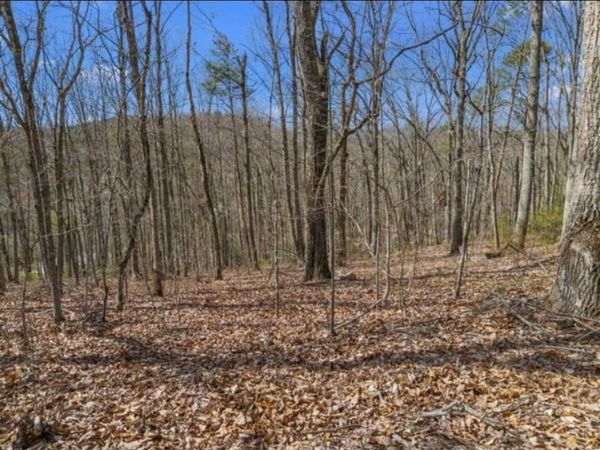 0 Pecan Tree Lane, Newport, TN 37821