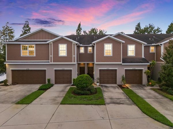 4741 WHITE SANDERLING COURT , TAMPA, FL 33619