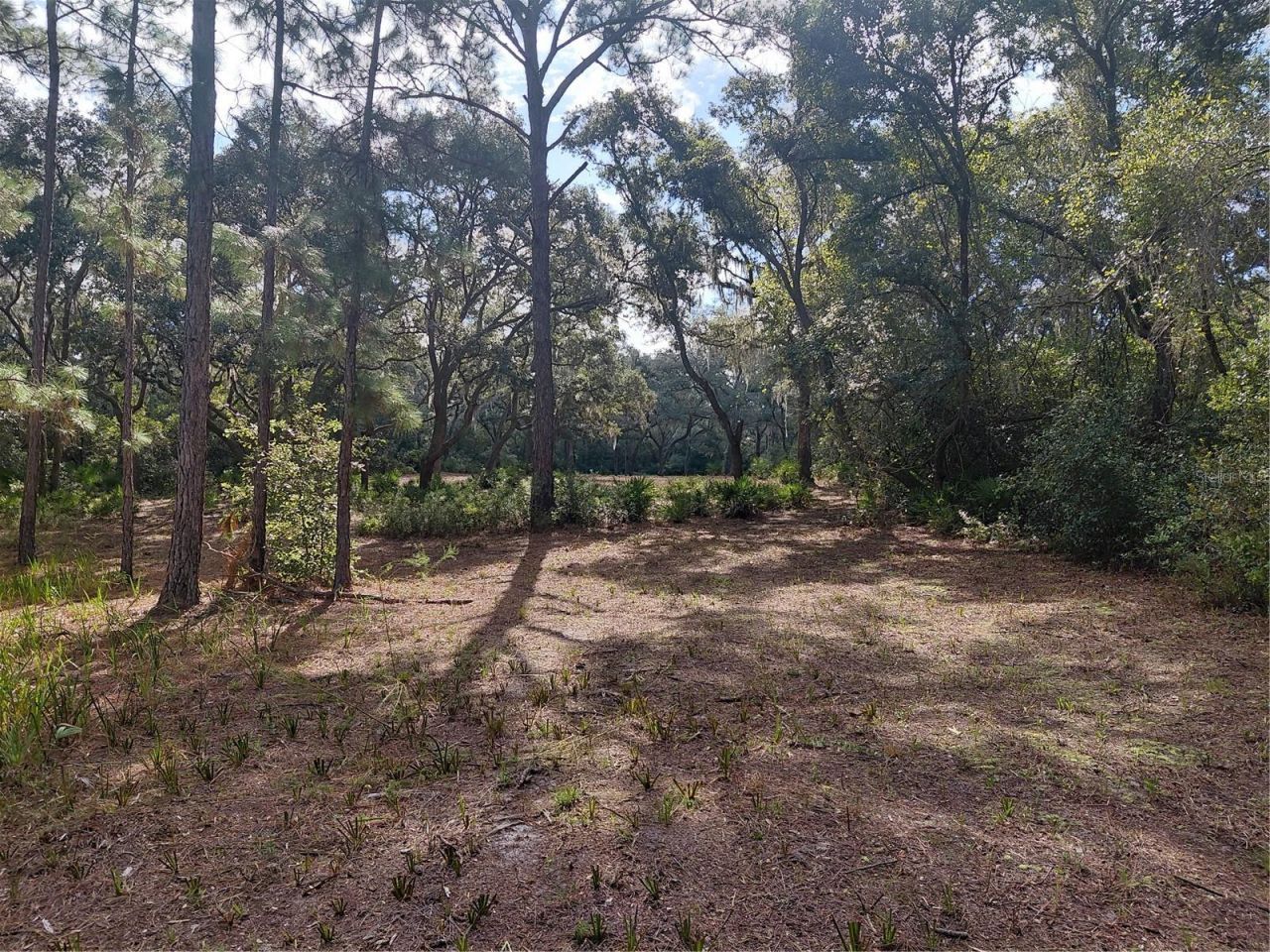 Grindstone Drive , Webster, FL 33597 Photo