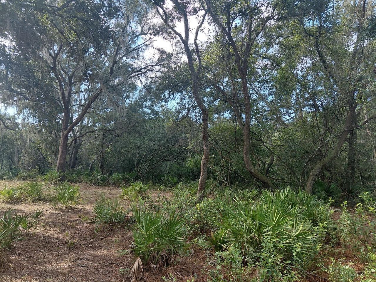 Grindstone Drive , Webster, FL 33597 Photo