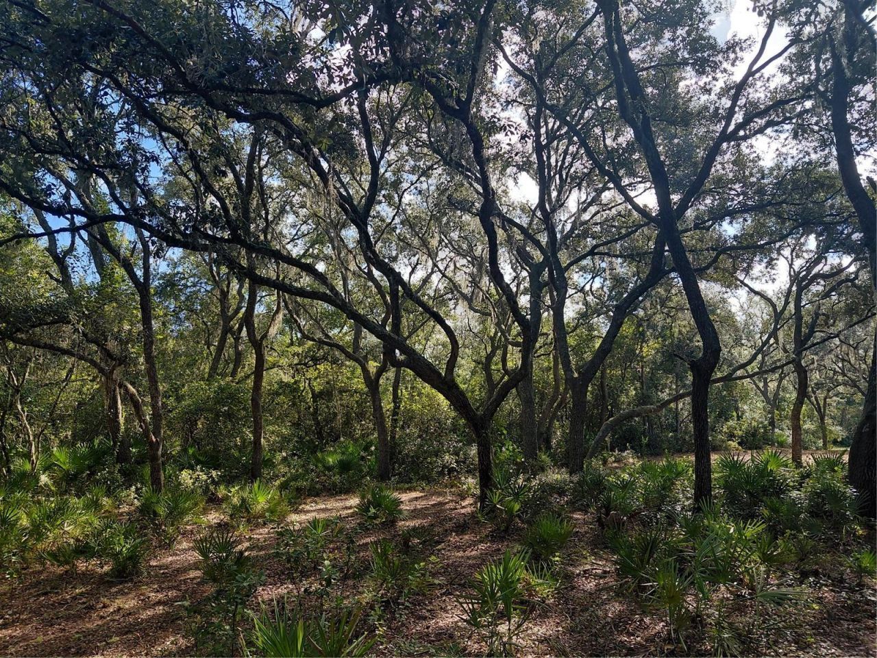Grindstone Drive , Webster, FL 33597 Photo