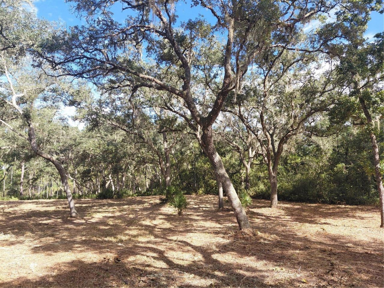 Grindstone Drive , Webster, FL 33597 Photo