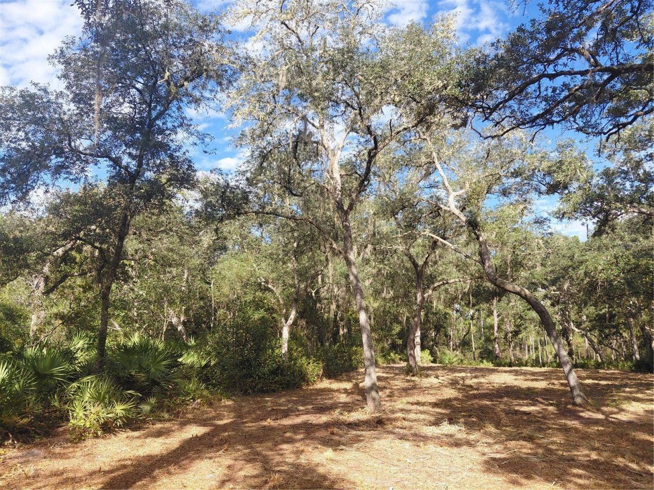 Grindstone Drive , Webster, FL 33597 Photo