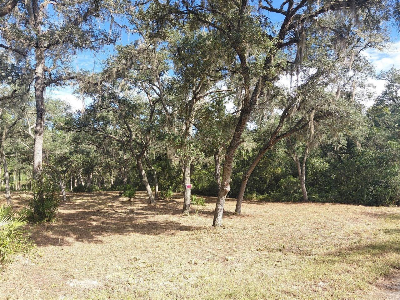 Grindstone Drive , Webster, FL 33597 Photo