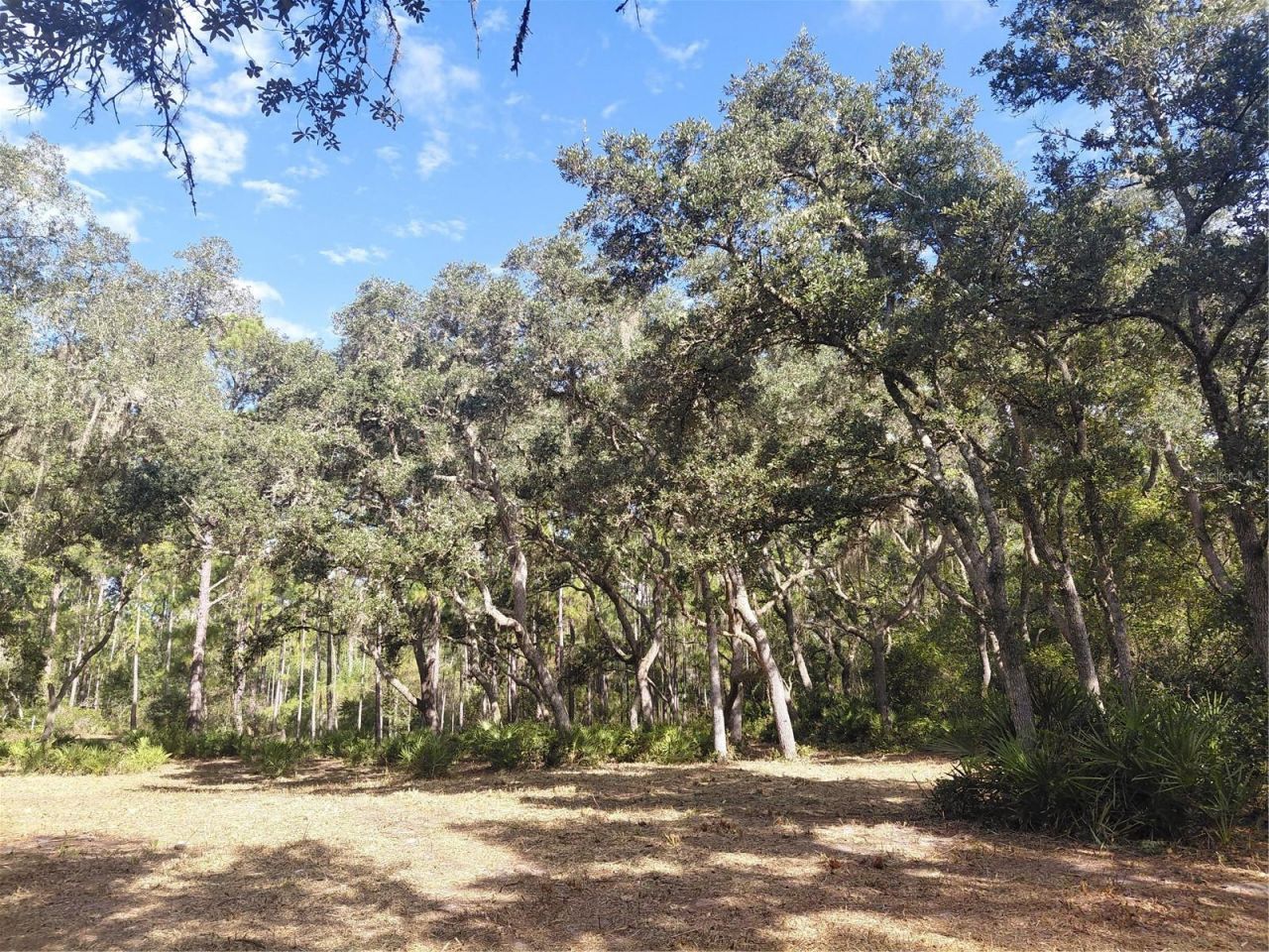 Grindstone Drive , Webster, FL 33597 Photo