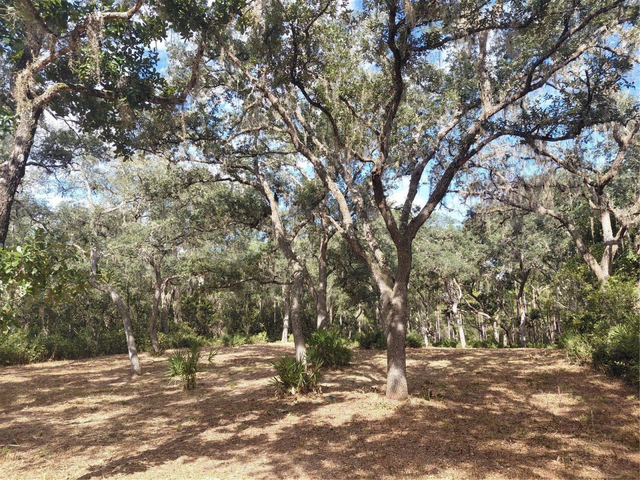 Grindstone Drive , Webster, FL 33597 Photo