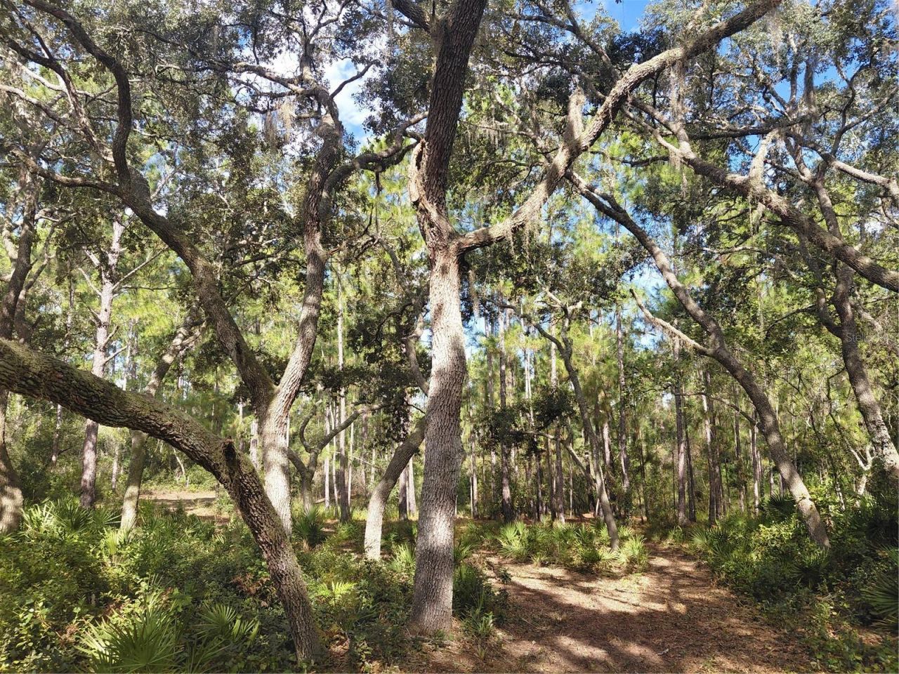 Grindstone Drive , Webster, FL 33597 Photo