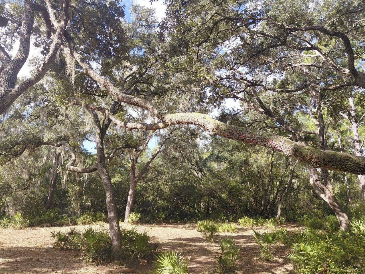 Grindstone Drive , Webster, FL 33597 Photo
