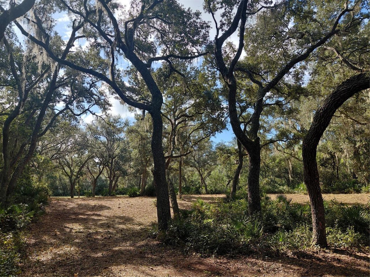 Grindstone Drive , Webster, FL 33597 Photo