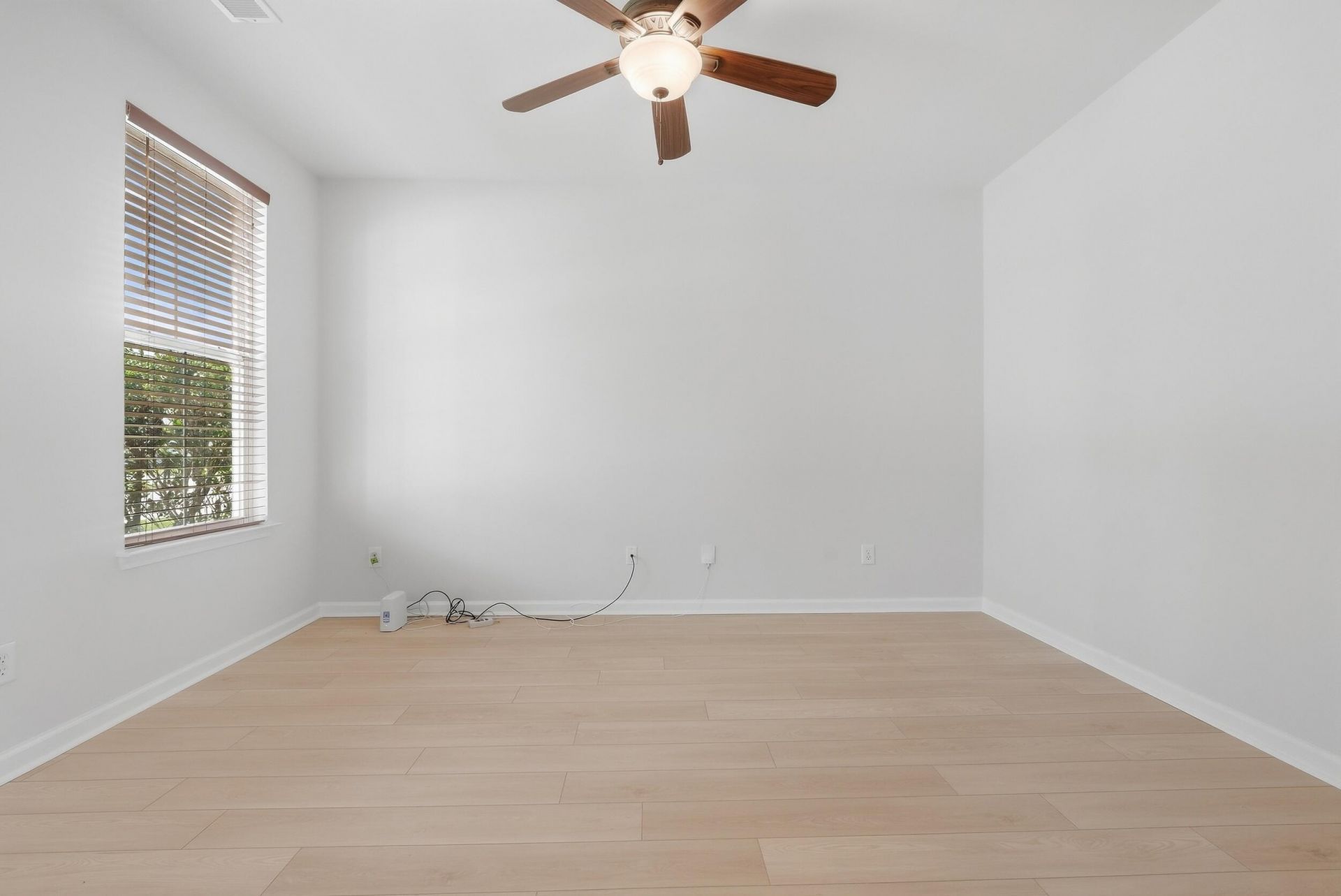 223 Donatella Drive Photo 4