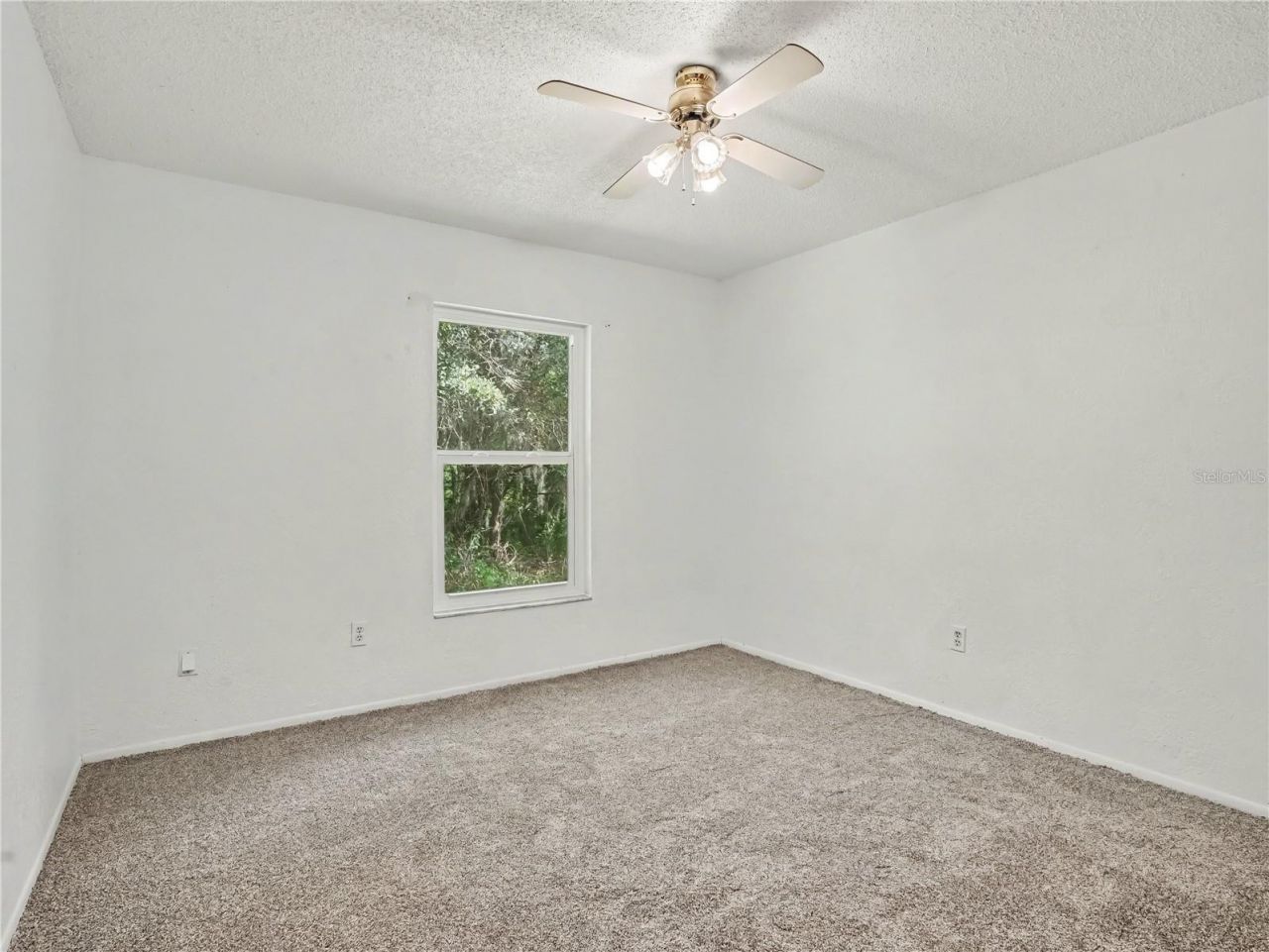 6655 Merle Street, Bradley, FL 33835 Photo