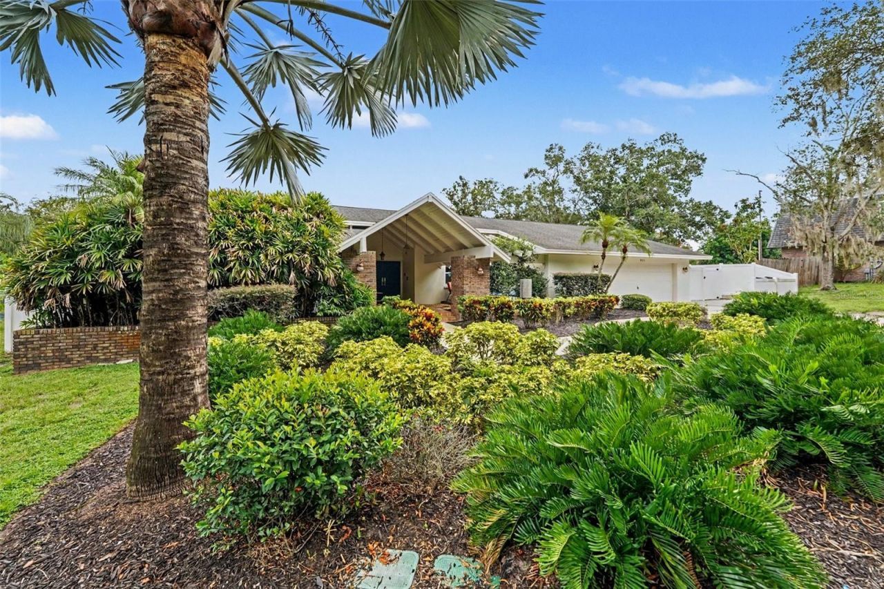 921 College Hill Drive, Clearwater, FL 33765 Photo