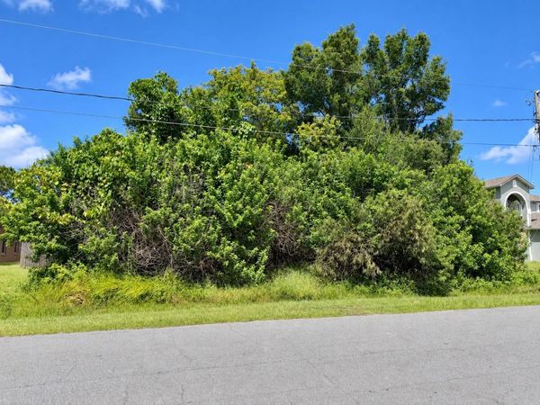 1005 CANNES DRIVE , KISSIMMEE, FL 34759