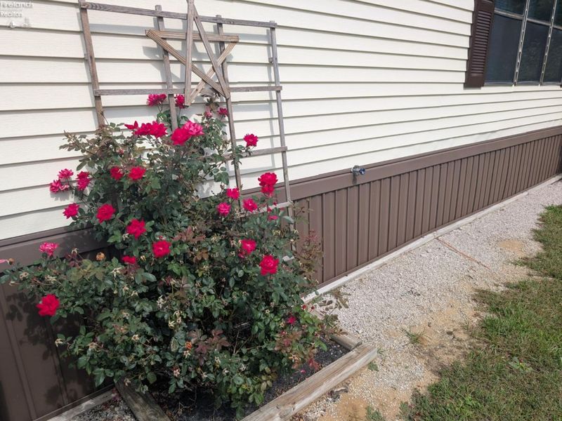 220 Maple Lane, Unit 74, Green Springs, OH 44836 Photo 37