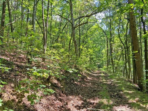 4.8ac Sign Board Gap Road , Dawsonville, GA 30534