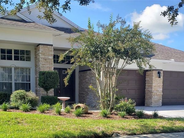 25638 FERDINAND COURT , WESLEY CHAPEL, FL 33544