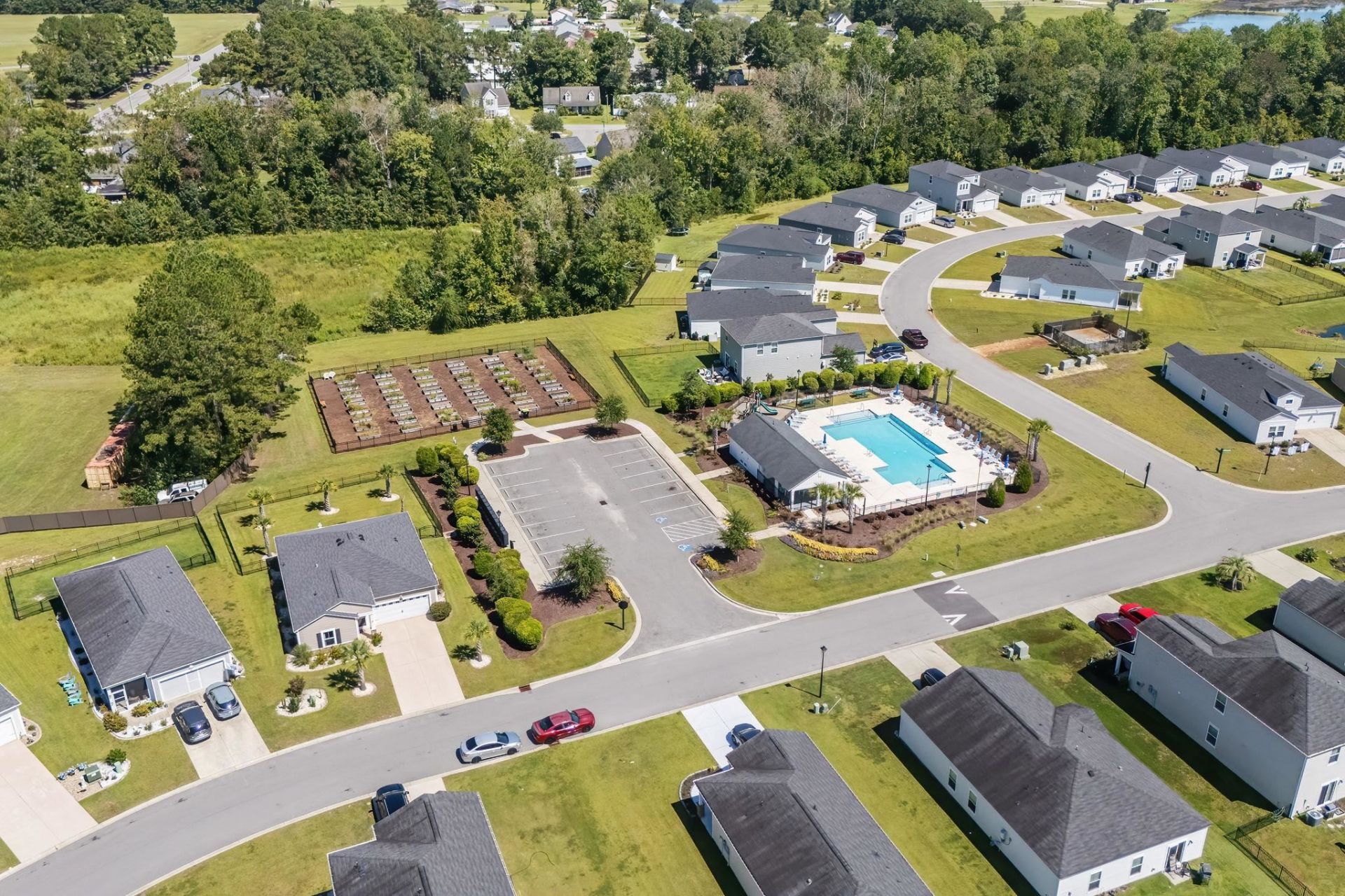 149 Cypress Tree Loop Photo 49