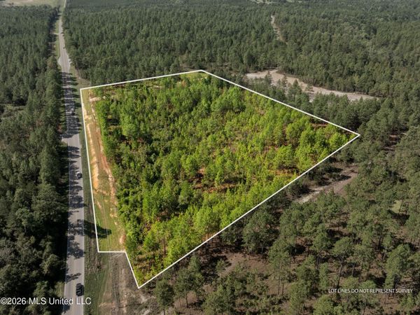 Hwy 11, Purvis, MS 39475