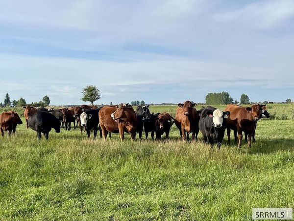 TBD W 2700 S, REXBURG, ID 83440