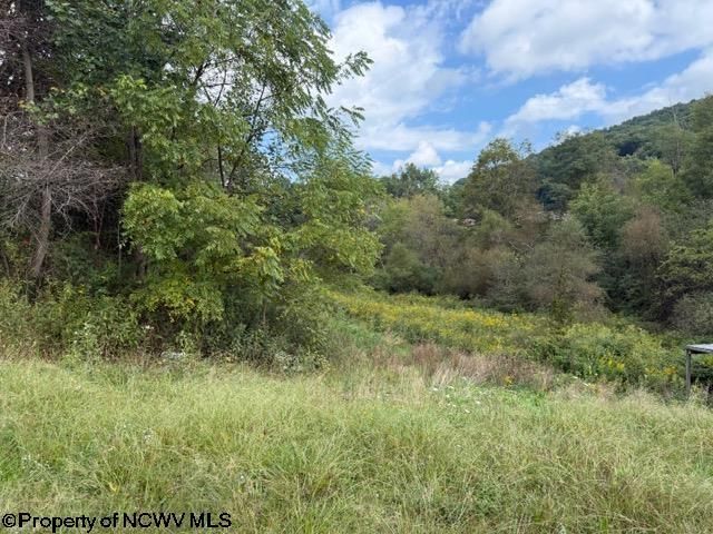 2229 Morgantown Pike, Belington, WV 26250 Main Photo