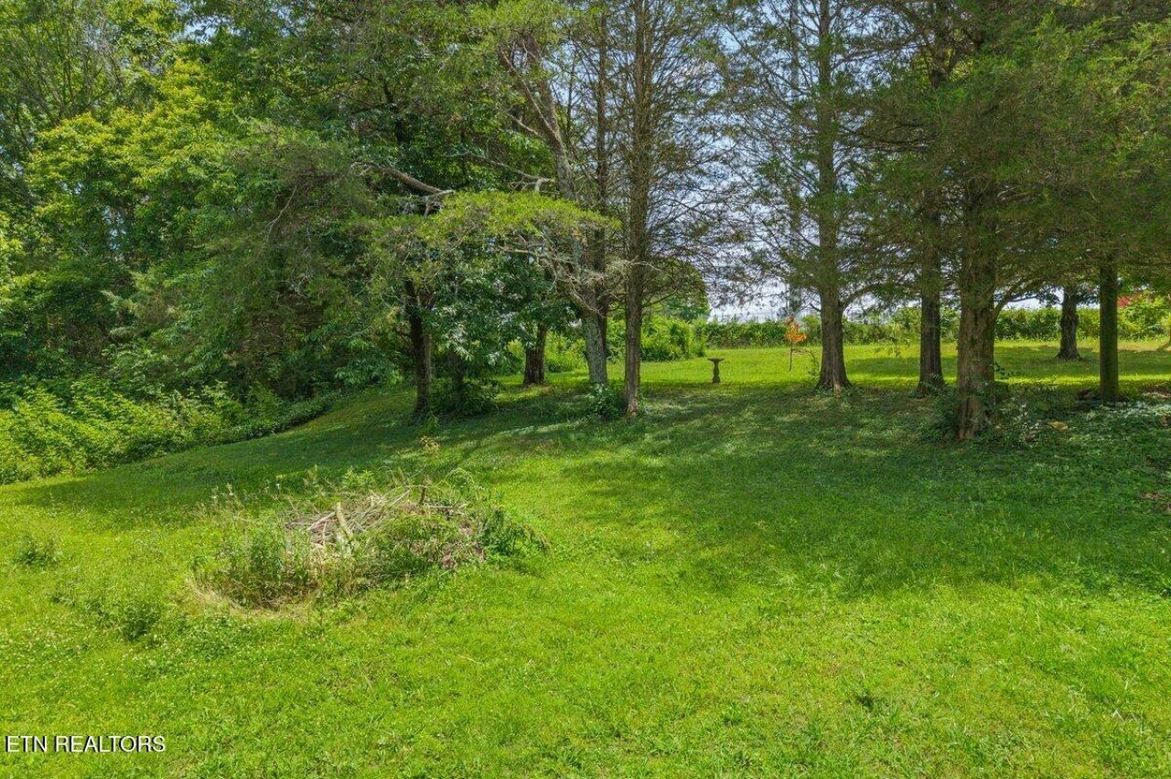 0 Buck Brown St, Englewood, TN 37329 Main Photo