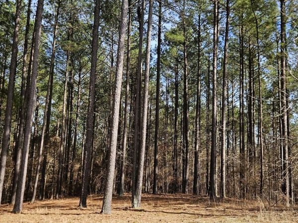 1121 Apalachee Meadows Drive, Madison, GA 30650