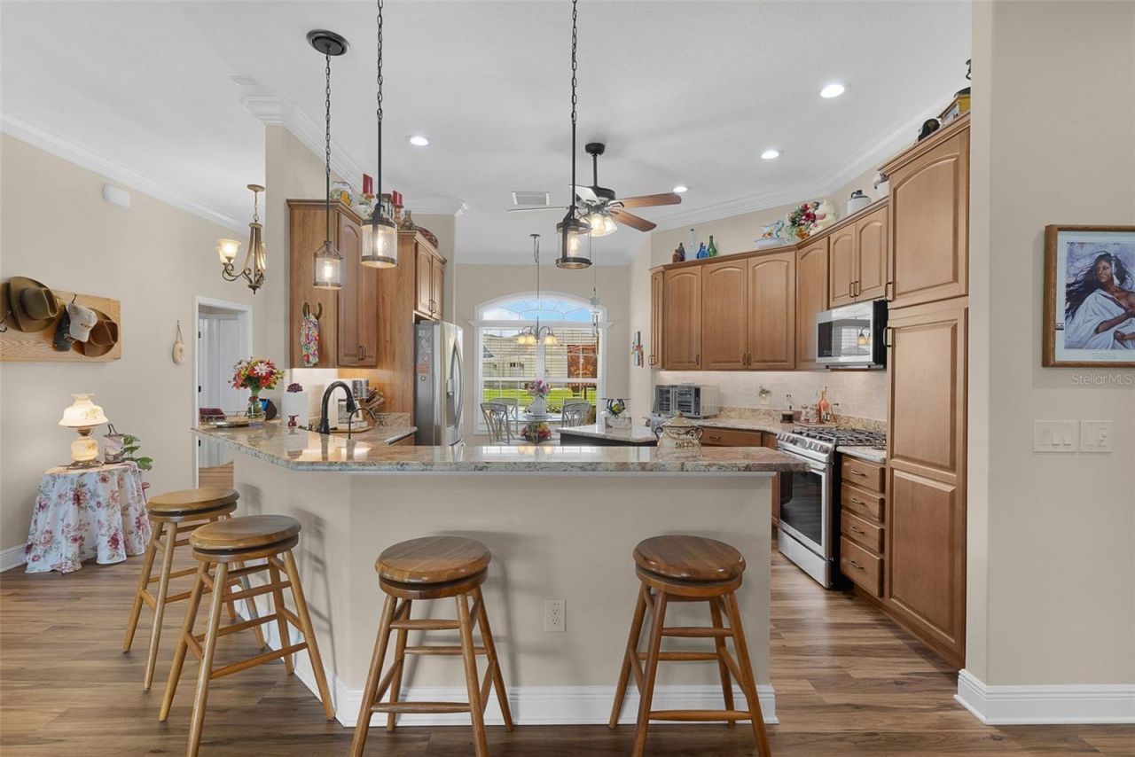 5870 Flint Loop, The Villages, FL 32163 Photo