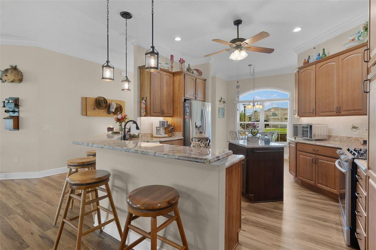5870 Flint Loop, The Villages, FL 32163 Photo
