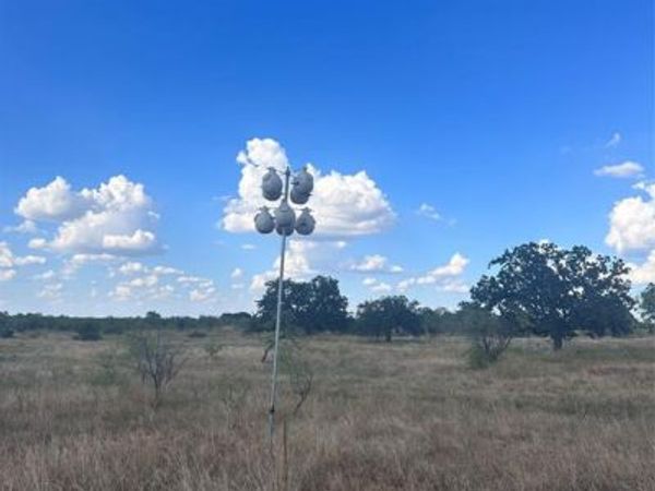 384 County Road 406 , Carbon, TX 76435