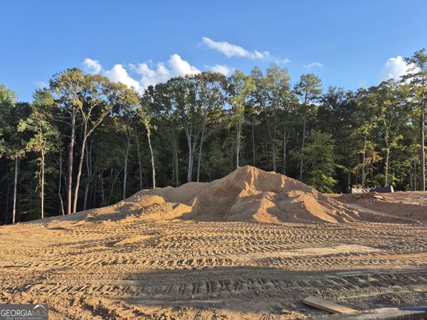 3363 Siena Place, Douglasville, GA 30135