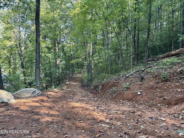 0 County Road 38 , Riceville, TN 37370