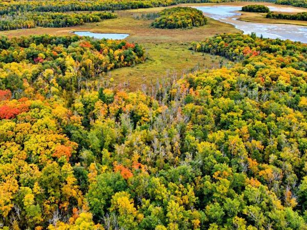 Lot 12 Beaver Drive, Brainerd, MN 56401