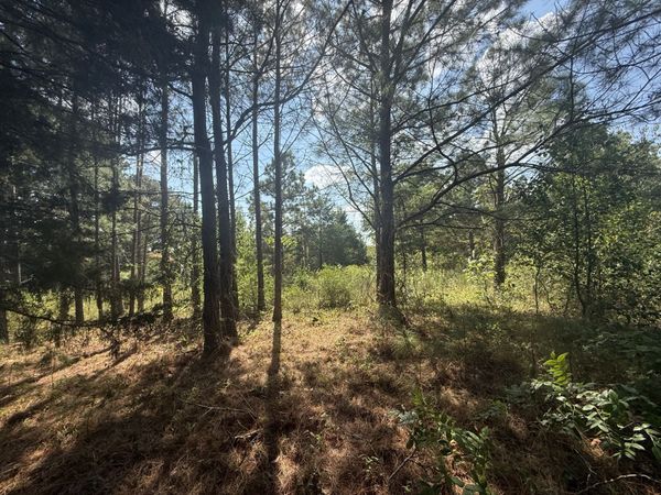 1140 Southside Rd , Southside, TN 37171
