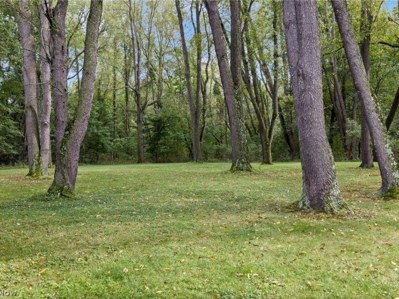 806 E Warner Road, Akron, OH 44319 Photo 39