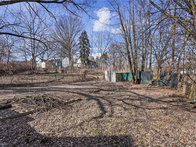 131 W Miller Avenue, Akron, OH 44301 Photo 21