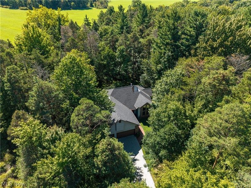 3126 Cliffside Drive, Akron, OH 44321 Photo 5
